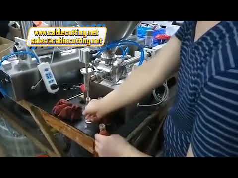 洗剤・ヨーグルト・ソース充填機 10ml～5000ml対応 シングル/ダブルヘッド 粘性液体充填機