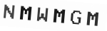Verification Code Image